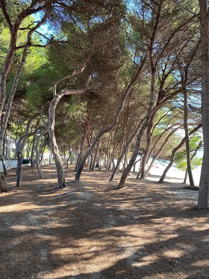 Bellamar 23. Apartamento Con Piscina Alcúdia 0*,